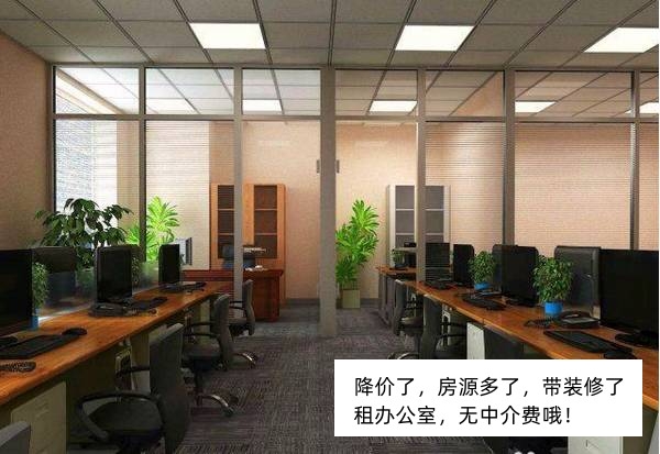 外高桥自贸区物业直租办公 仓储 展示 提供虚拟注册 虚拟办公 看场地