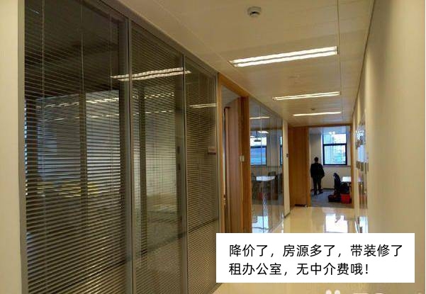 外高桥自贸区物业直租办公 仓储 展示 提供虚拟注册 虚拟办公 看场地