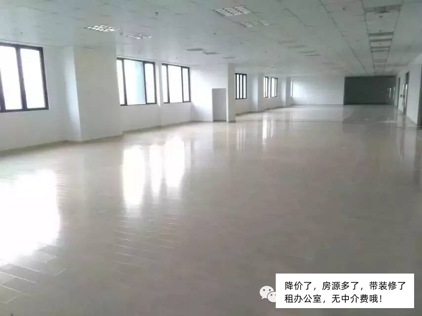 外高桥自贸区物业直租办公 仓储 展示 提供虚拟注册 虚拟办公 看场地