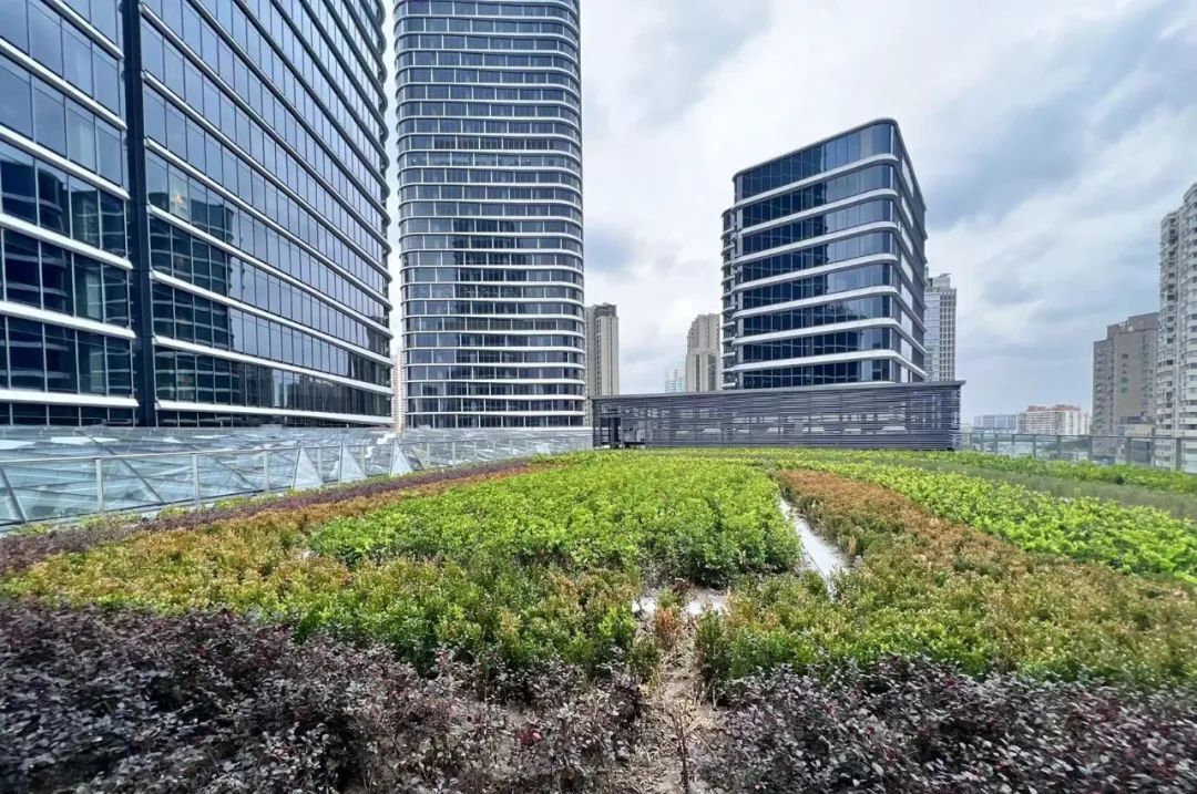 上海火车楼__上海火车主题乐园