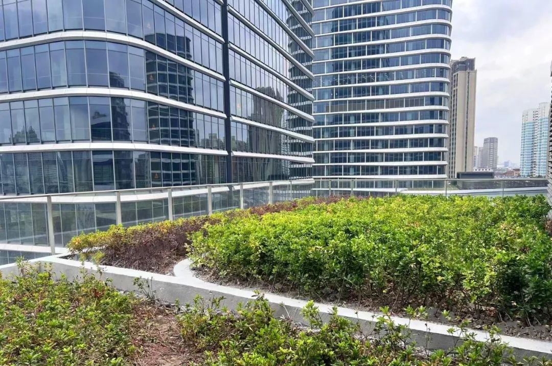 上海火车主题乐园_上海火车楼_