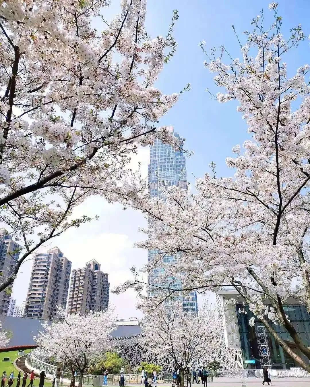 静安区大楼__上海静安办公楼