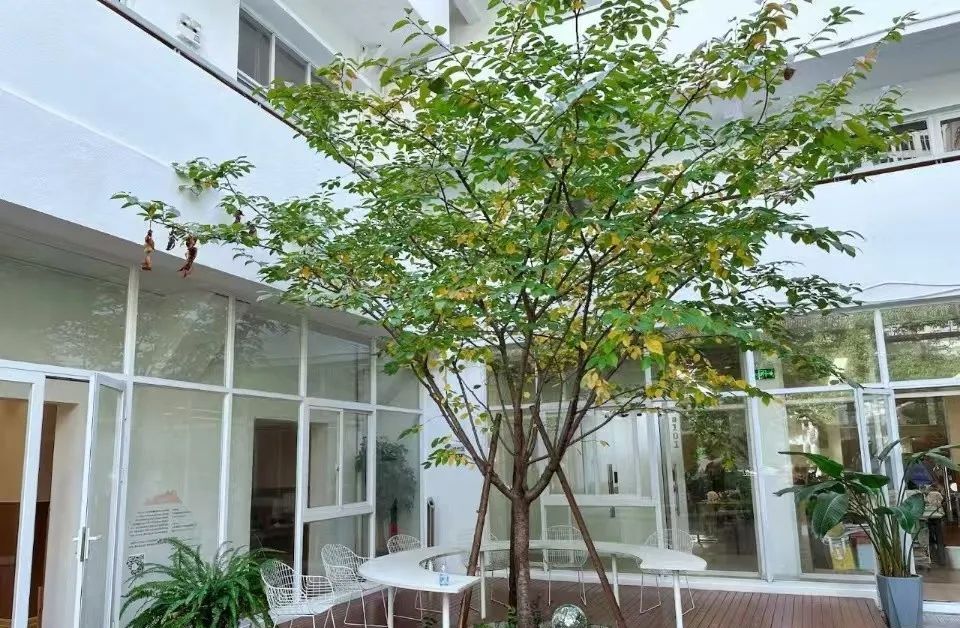 _上海静安区创意园_上海印坊创意园