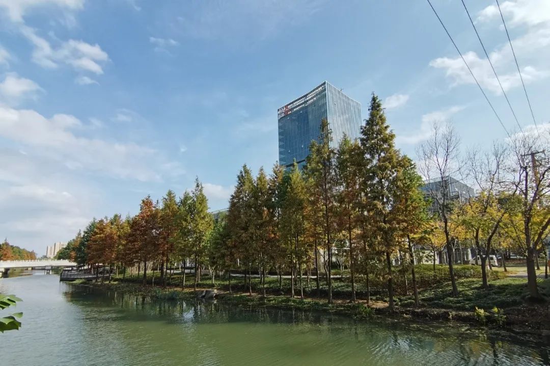 嘉定保利租售中心电话__嘉定新城到嘉定北