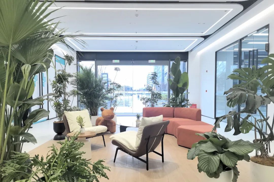 虹桥七宝古镇图片_虹桥车市卖什么车_