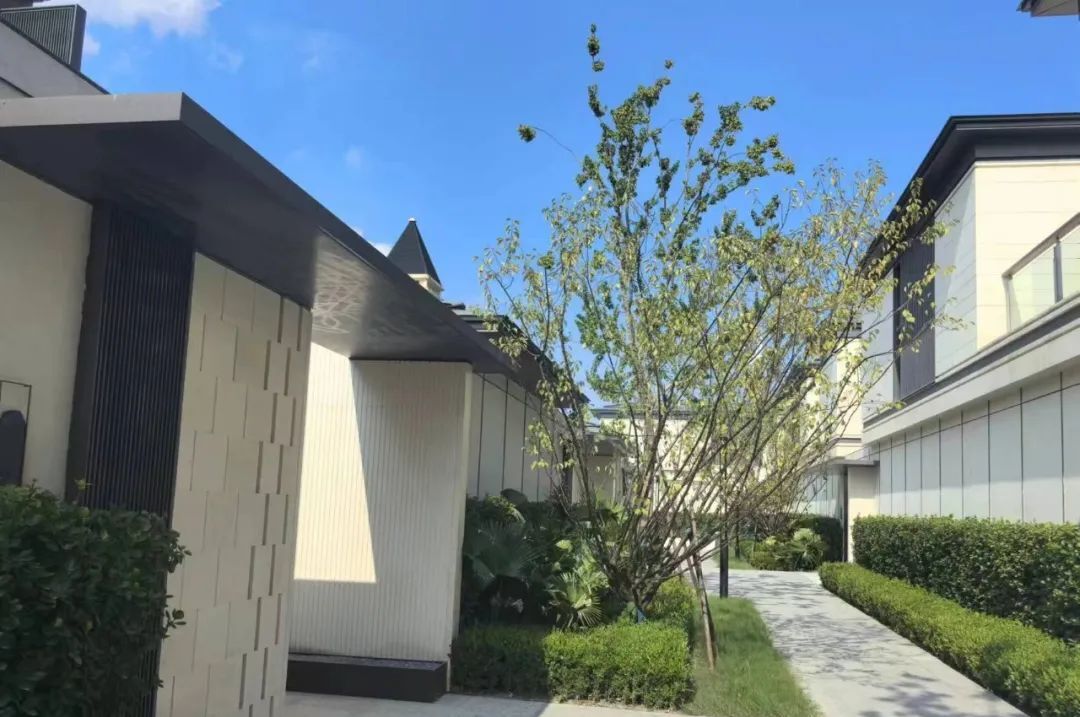 限购中式别墅院出售艺墅多少钱_中式别墅房价_