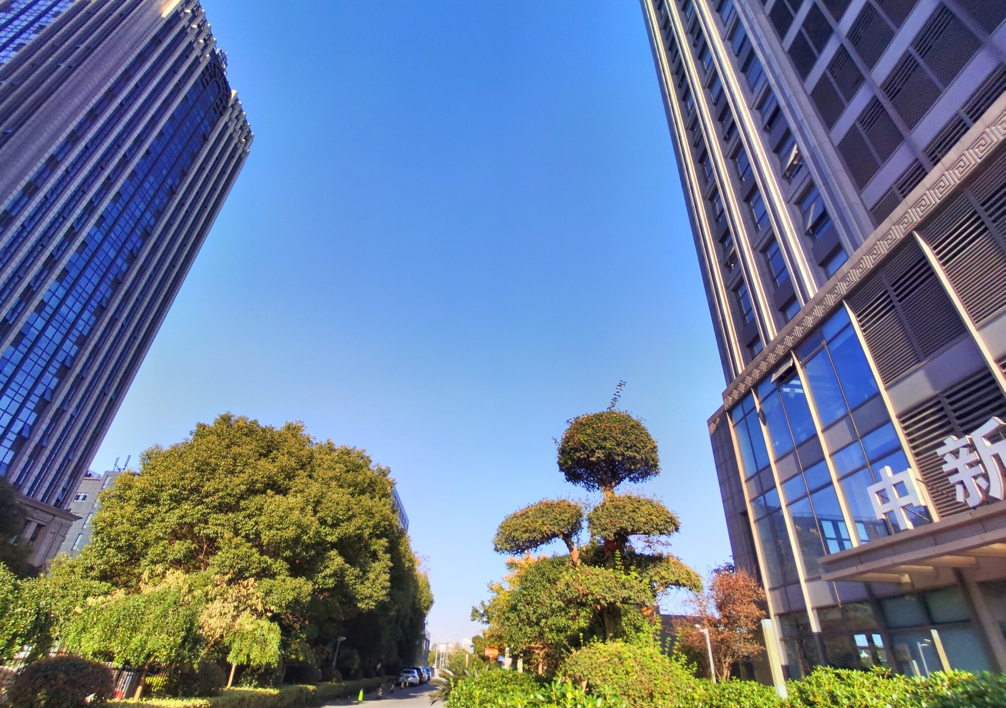 金桥 中新传媒大厦 租赁中心__金桥 中新传媒大厦 租赁中心