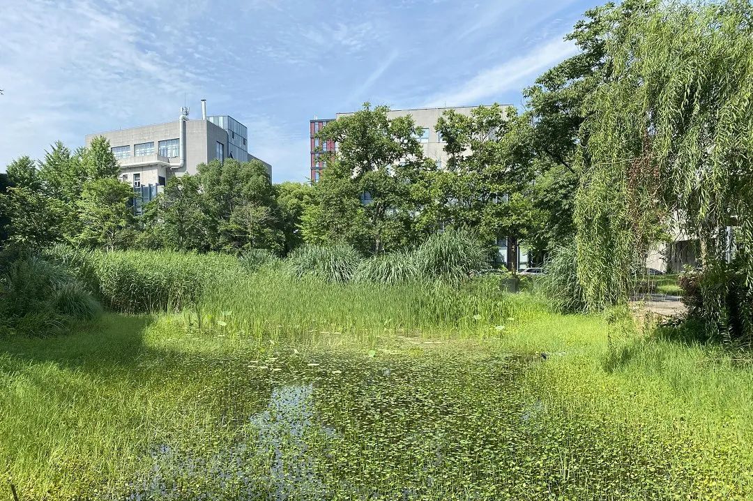 上海国际医学园区租赁_上海医学产业园_