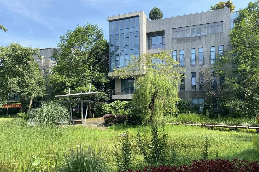 _上海国际医学园区租赁_上海医学产业园