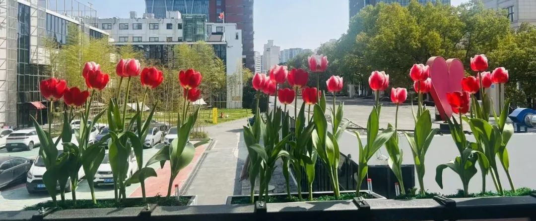 _地铁公寓出租_地铁口办公楼出租
