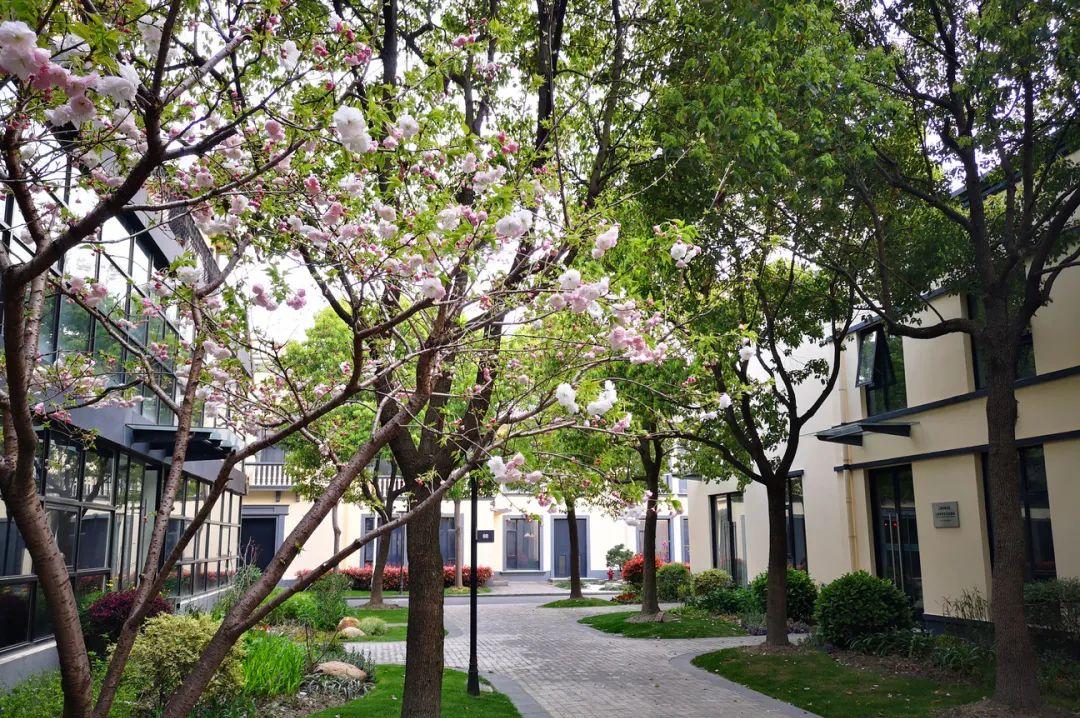 _新静安大宁双子地王_上海创文