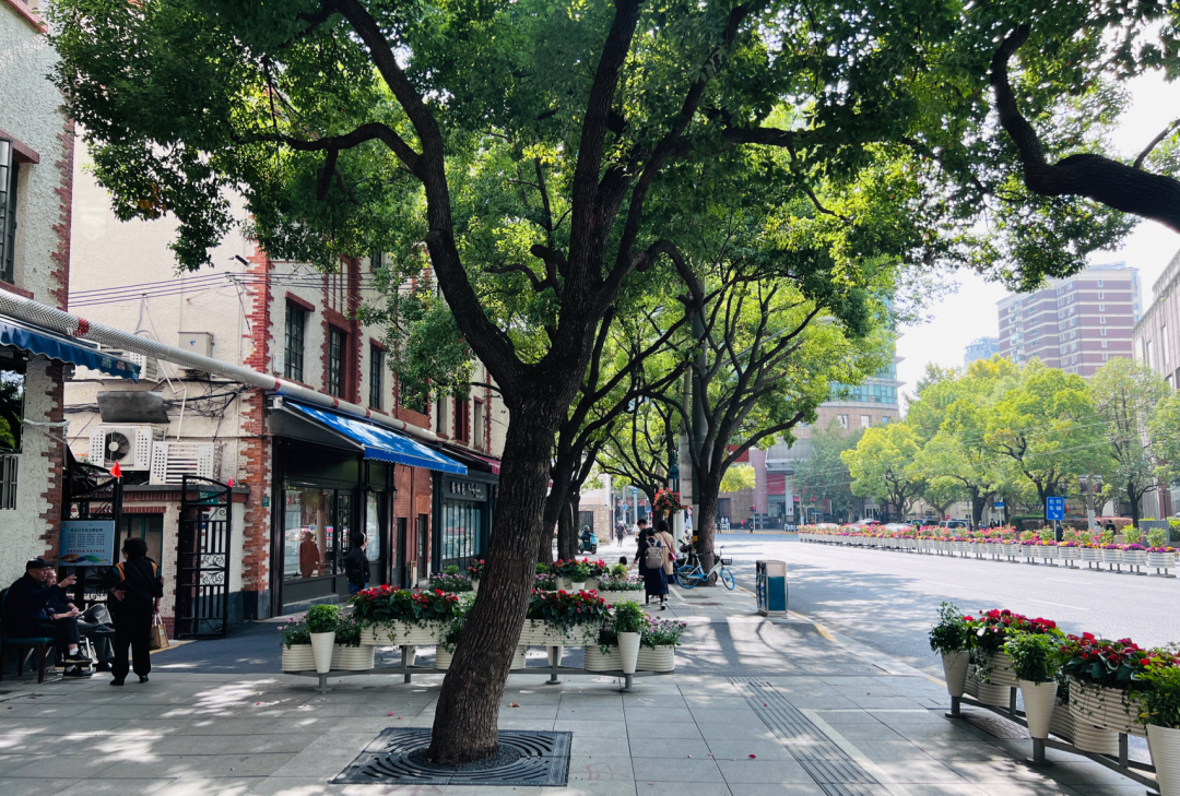 浦西华山路：斜跨三区连接两大商圈，宁静中藏华丽气质与历史底蕴