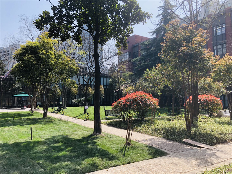 _大华朗香嘉年华广场_大华朗香公园里认筹最新结果