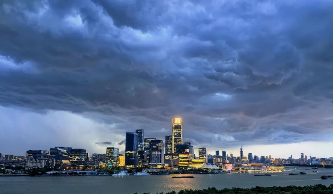 2026年上半年上海中央商务区办公楼去化数据盘点：徐汇滨江领跑，去化使用面积同比暴增125%